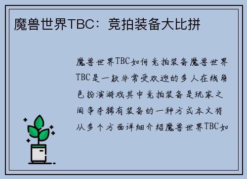 魔兽世界TBC：竞拍装备大比拼